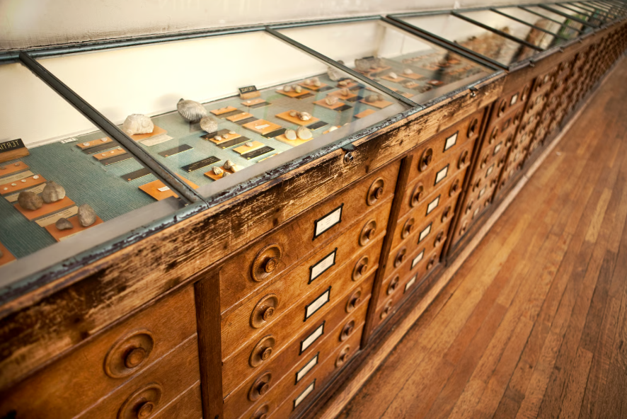 Nature-based solutions in urban environment