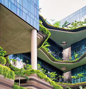 Nature-based solutions in urban environment