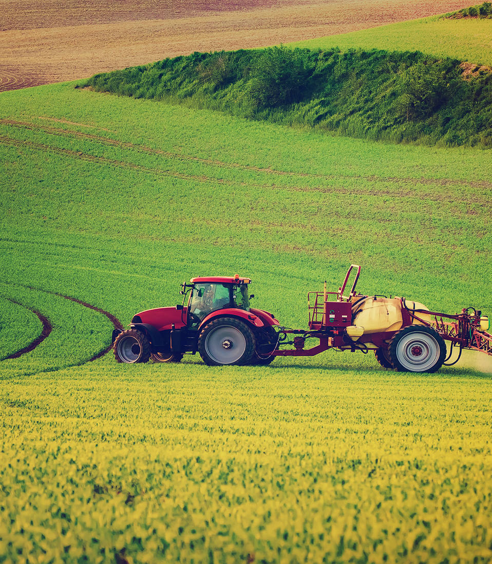 Nature-based solutions in urban environment