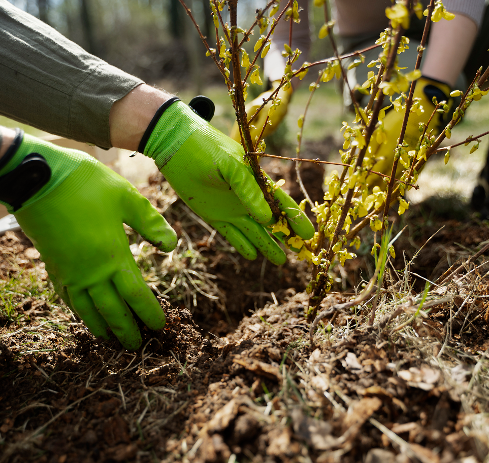 Community engagement