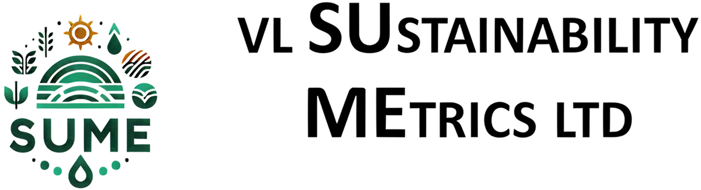 V.L. SUSTAINABILITY METRICS LTD logo