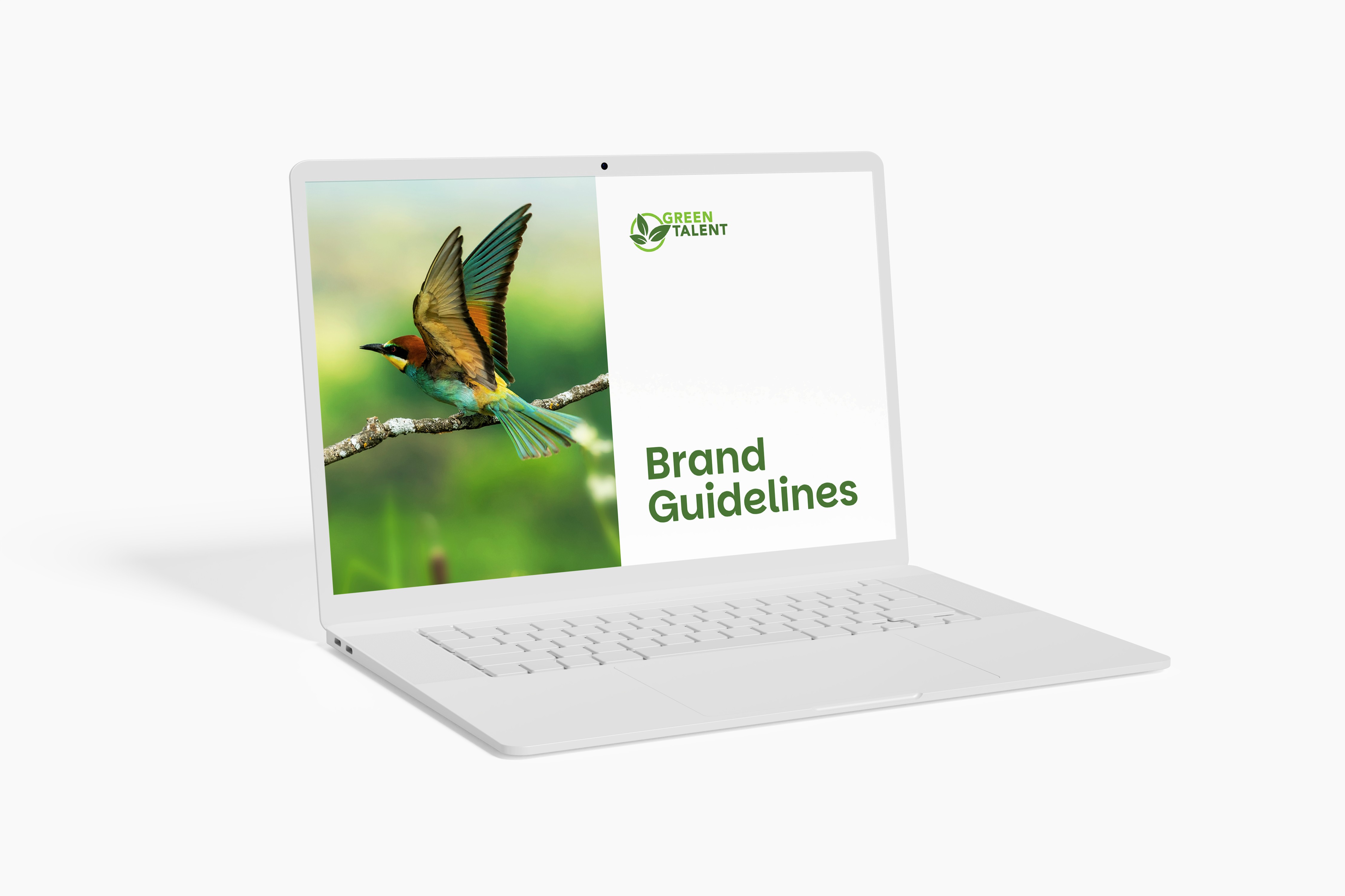 Brand Guidelines preview