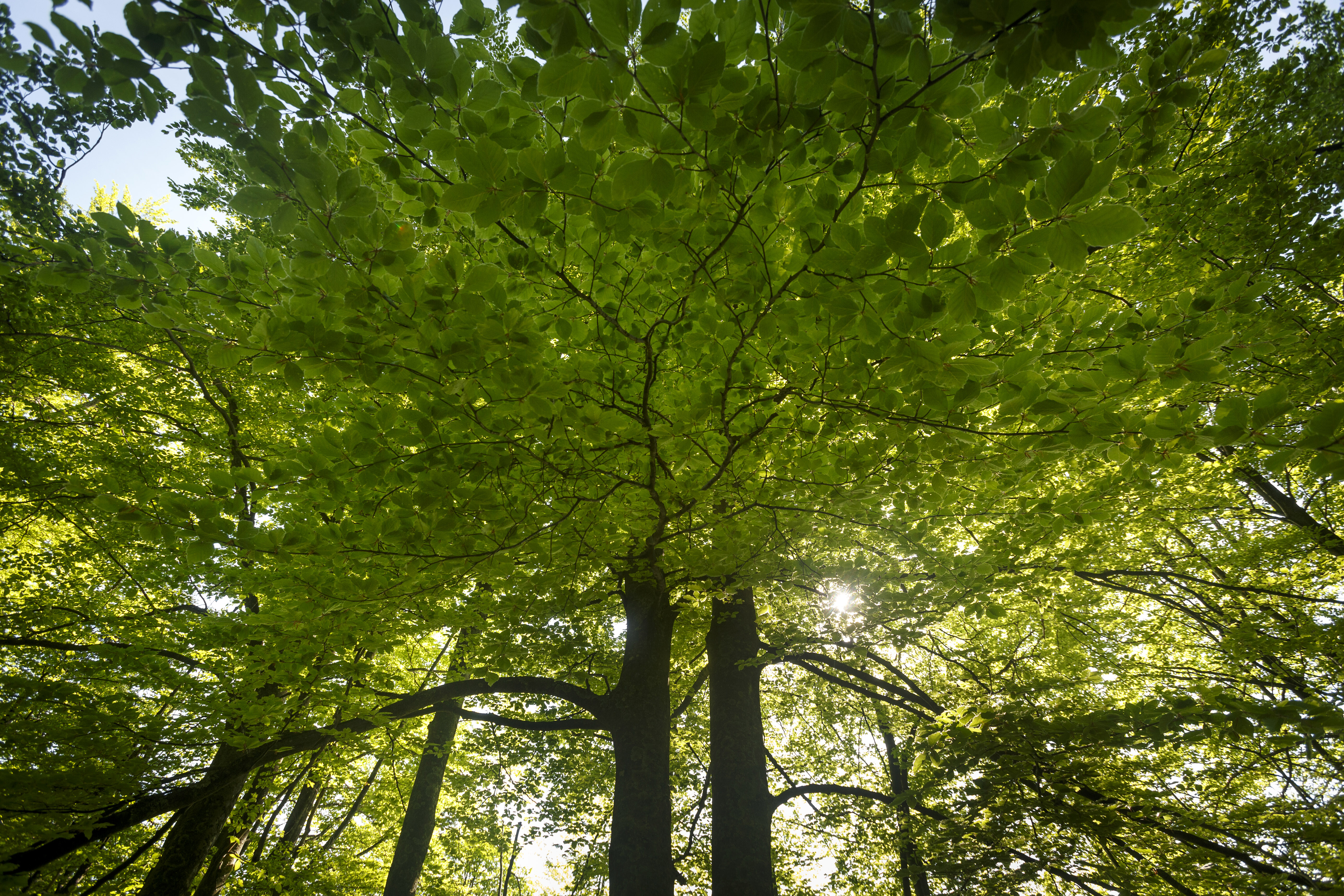 Featured image for: WP5 Demonstration Hubs meeting